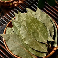 91天媒传媒mv在线视频入口