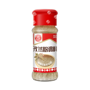 25g安记孜然粉 